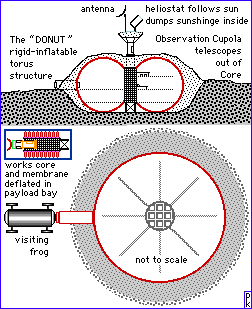 the "donut" or "moonbagel" concept