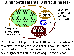 Settlement of Xity "Cell"